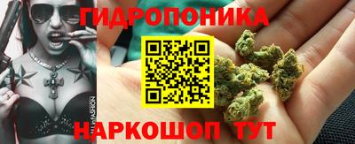 ГАЛЛЮЦИНОГЕННЫЕ ГРИБЫ Кулебаки
