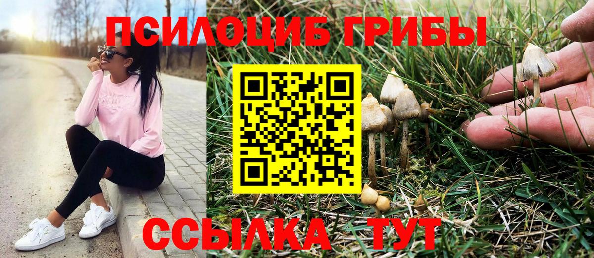 Галлюциногенные грибы ЛСД Азов